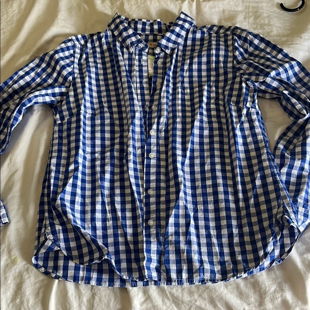 Daniel Cremieux Blue and White Plaid Shirt (Size Medium)